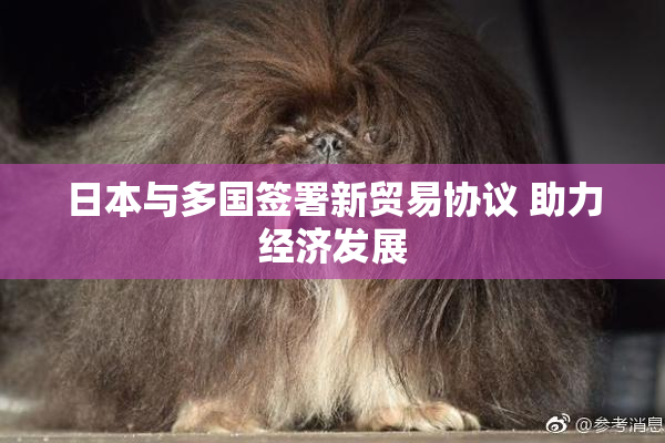日本与多国签署新贸易协议 助力经济发展