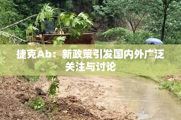 捷克Ab：新政策引发国内外广泛关注与讨论