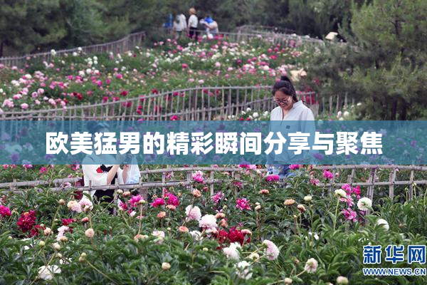 欧美猛男的精彩瞬间分享与聚焦