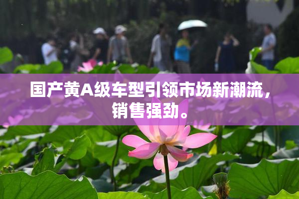 国产黄A级车型引领市场新潮流，销售强劲。