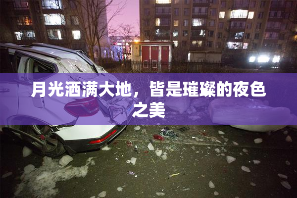 月光洒满大地，皆是璀璨的夜色之美