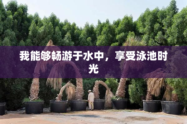 我能够畅游于水中，享受泳池时光