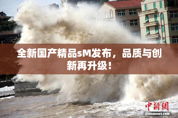 全新国产精品sM发布，品质与创新再升级！