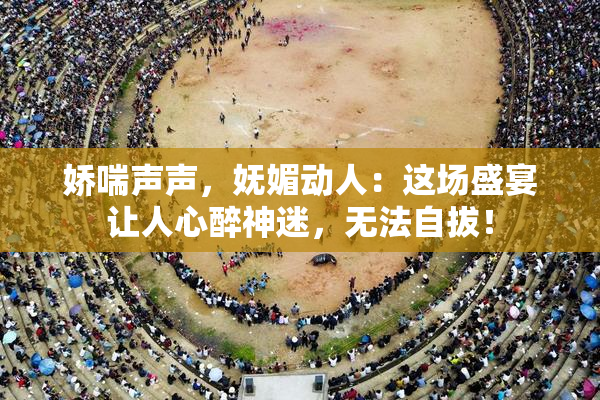 娇喘声声，妩媚动人：这场盛宴让人心醉神迷，无法自拔！