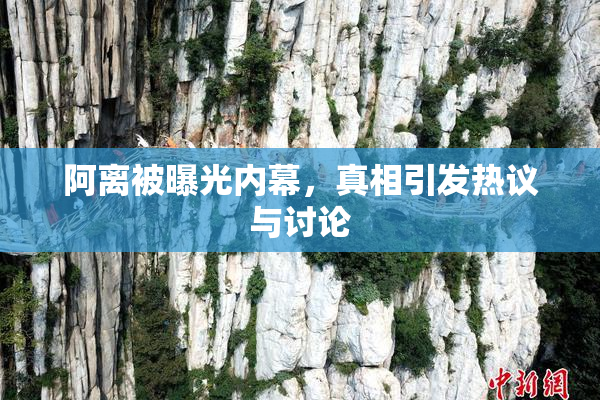 阿离被曝光内幕，真相引发热议与讨论