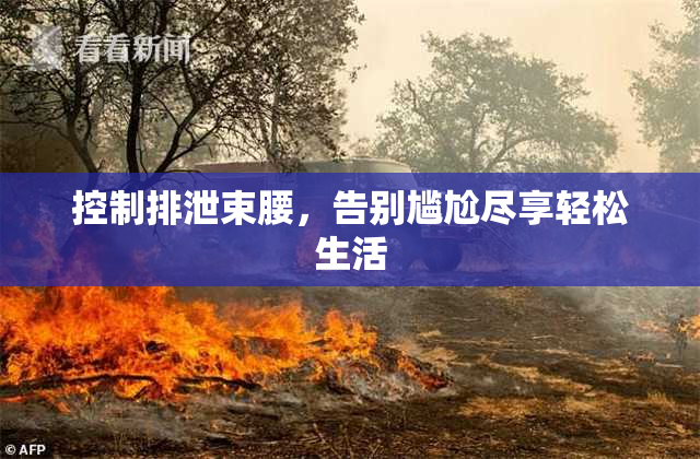 控制排泄束腰，告别尴尬尽享轻松生活