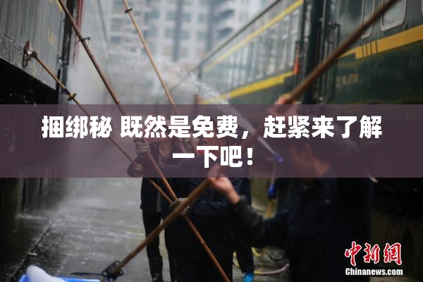 捆绑秘 既然是免费，赶紧来了解一下吧！