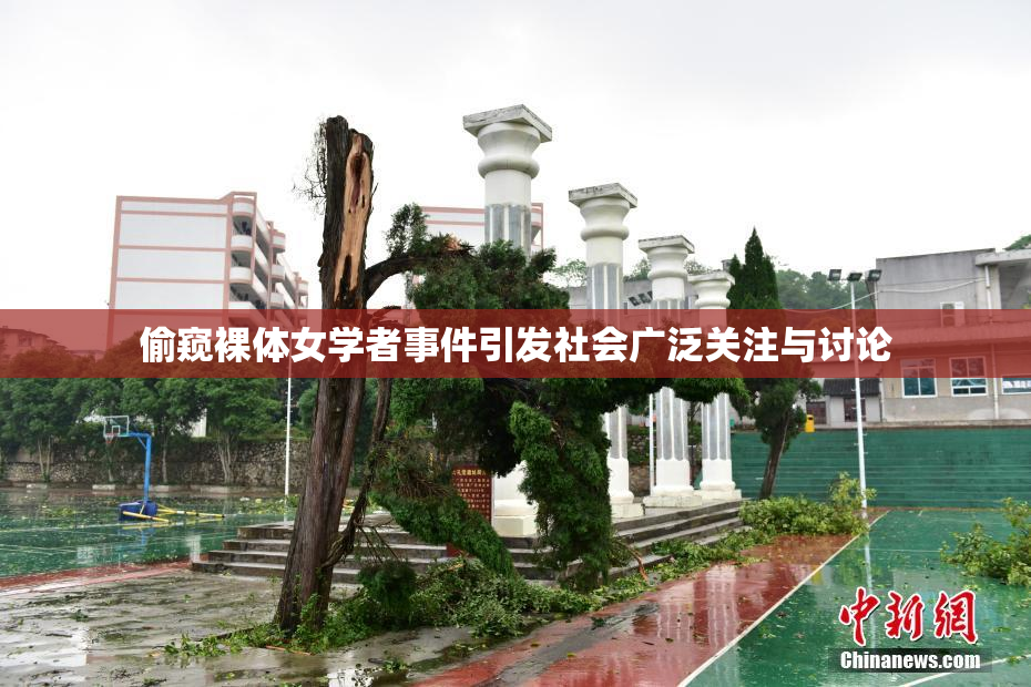 偷窥裸体女学者事件引发社会广泛关注与讨论