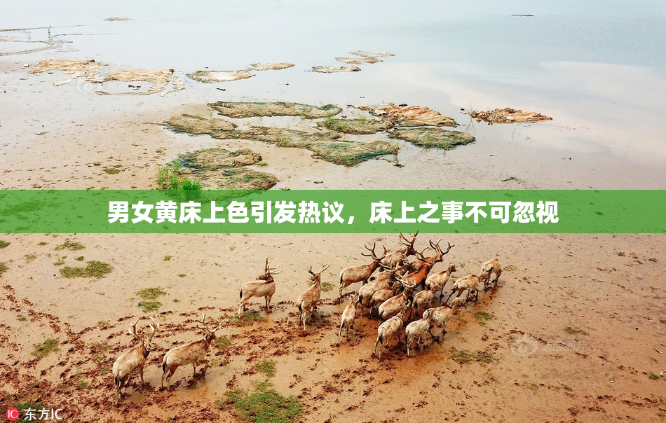 男女黄床上色引发热议，床上之事不可忽视