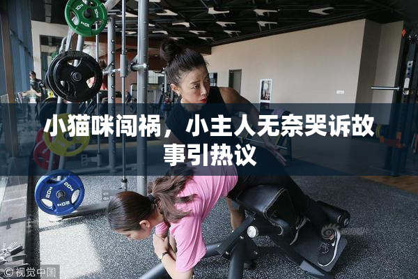 小猫咪闯祸，小主人无奈哭诉故事引热议
