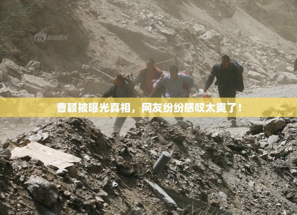 曹颖被曝光真相，网友纷纷感叹太爽了！