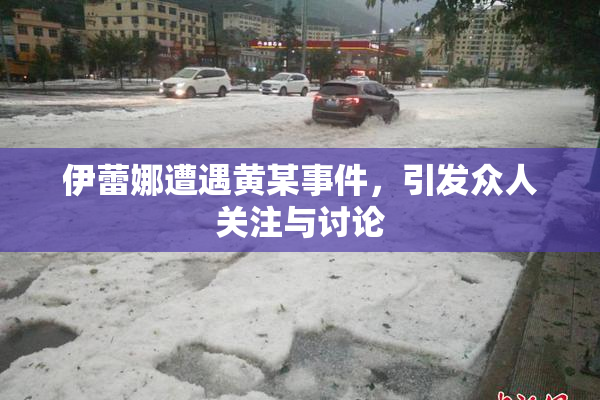 伊蕾娜遭遇黄某事件，引发众人关注与讨论