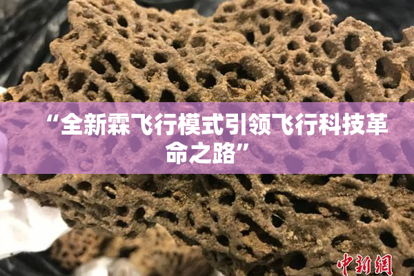 “全新霖飞行模式引领飞行科技革命之路”