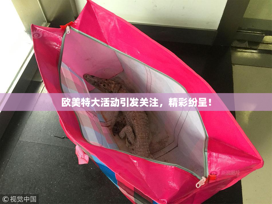 欧美特大活动引发关注，精彩纷呈！