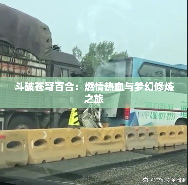 斗破苍穹百合：燃情热血与梦幻修炼之旅
