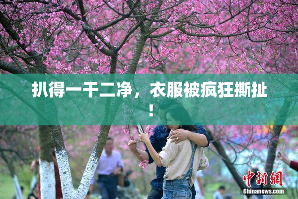 扒得一干二净，衣服被疯狂撕扯！