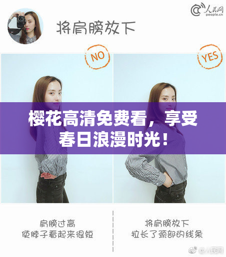 樱花高清免费看，享受春日浪漫时光！