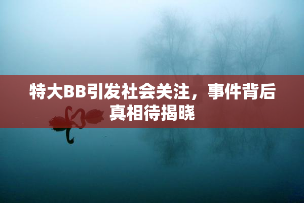 特大BB引发社会关注，事件背后真相待揭晓