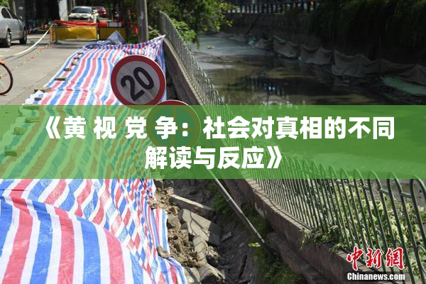 《黄 视 党 争：社会对真相的不同解读与反应》