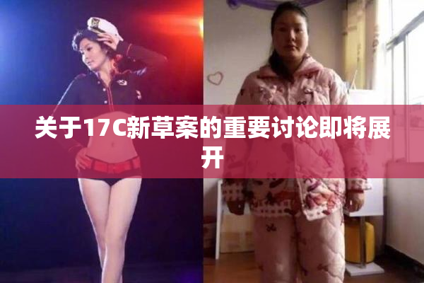 关于17C新草案的重要讨论即将展开