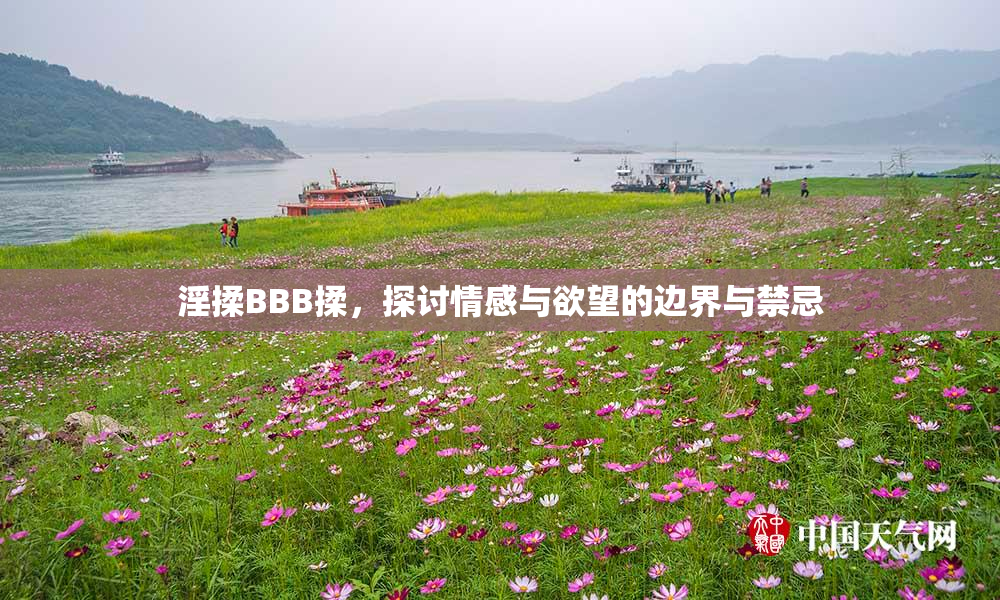 淫揉BBB揉，探讨情感与欲望的边界与禁忌