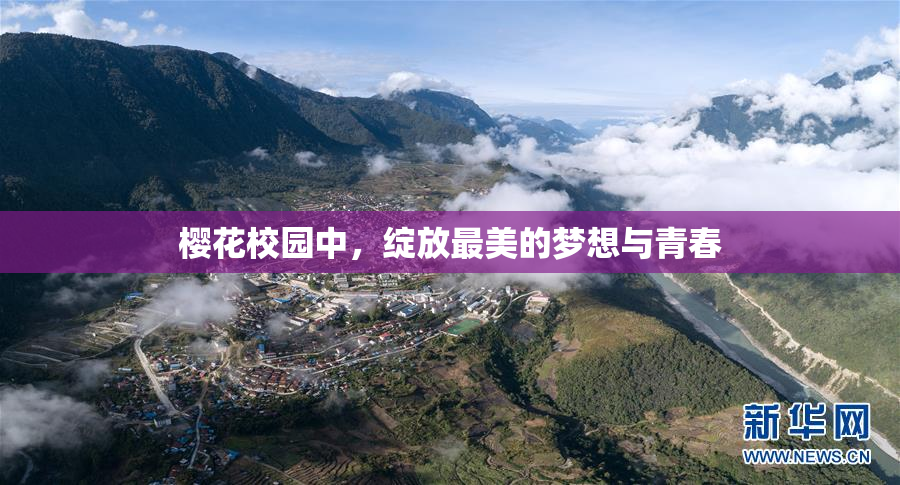 樱花校园中，绽放最美的梦想与青春