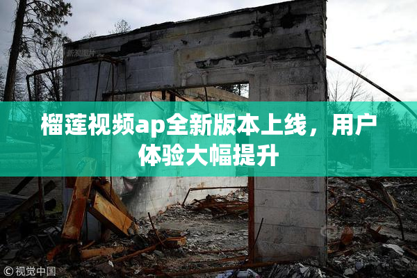 榴莲视频ap全新版本上线，用户体验大幅提升