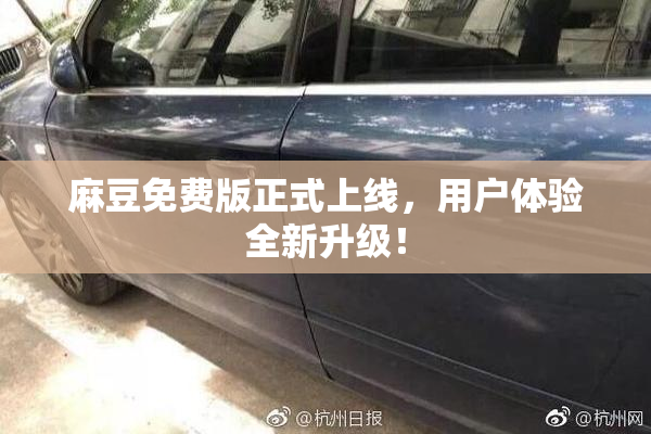 麻豆免费版正式上线，用户体验全新升级！