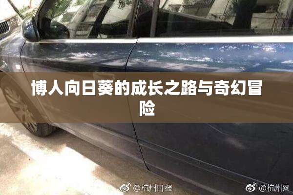 博人向日葵的成长之路与奇幻冒险