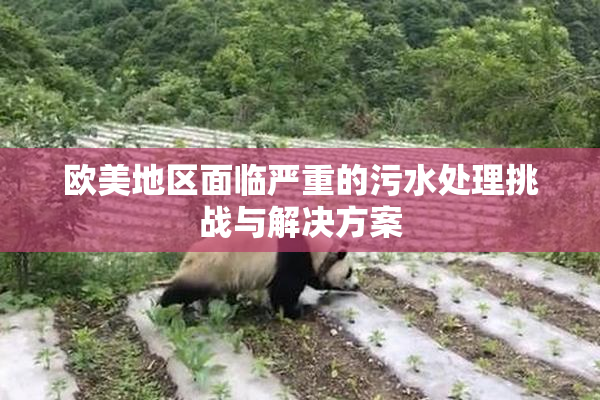 欧美地区面临严重的污水处理挑战与解决方案