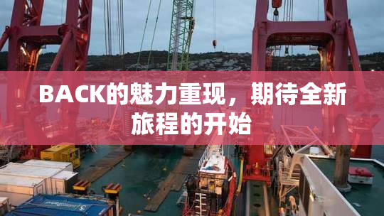 BACK的魅力重现，期待全新旅程的开始