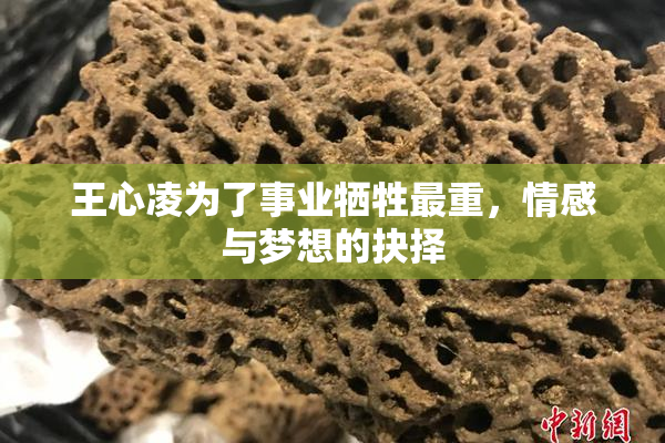 王心凌为了事业牺牲最重，情感与梦想的抉择