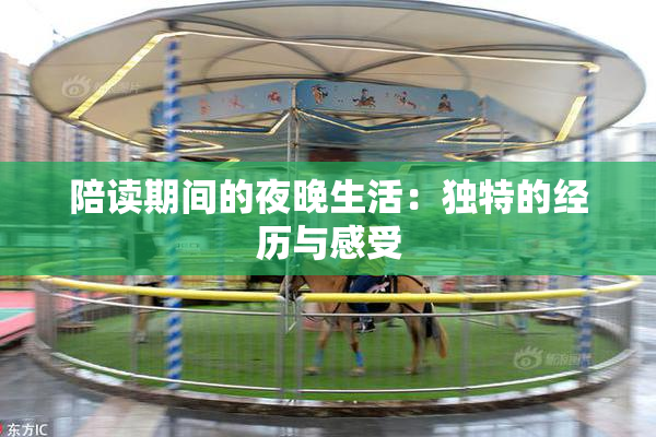 陪读期间的夜晚生活：独特的经历与感受