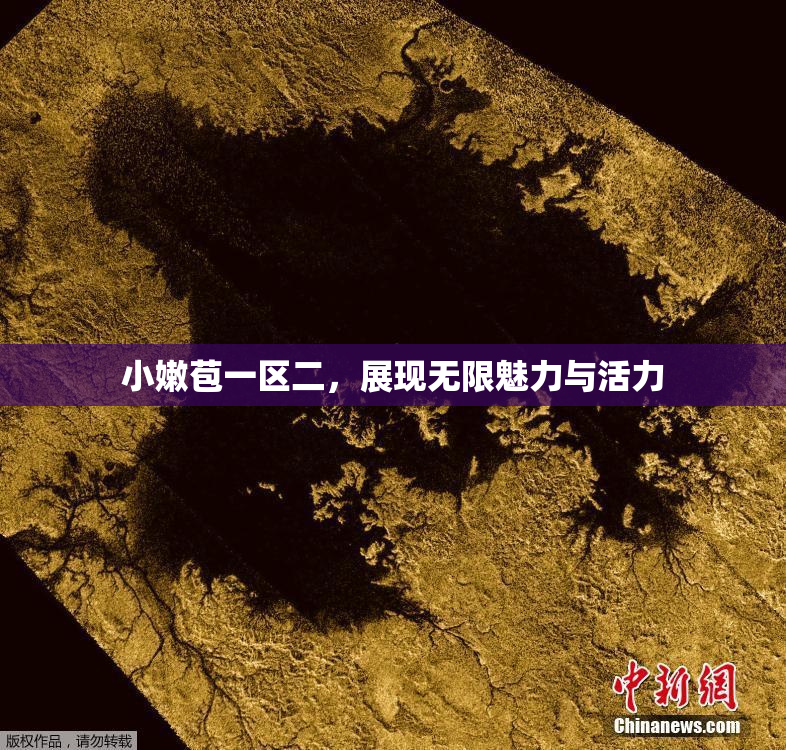 小嫩苞一区二，展现无限魅力与活力
