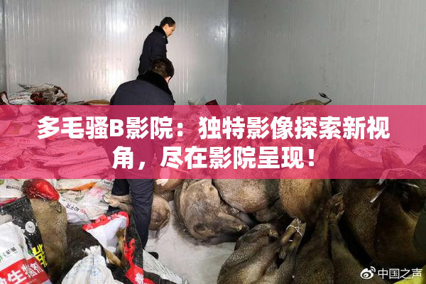 多毛骚B影院：独特影像探索新视角，尽在影院呈现！