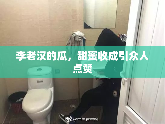 李老汉的瓜，甜蜜收成引众人点赞