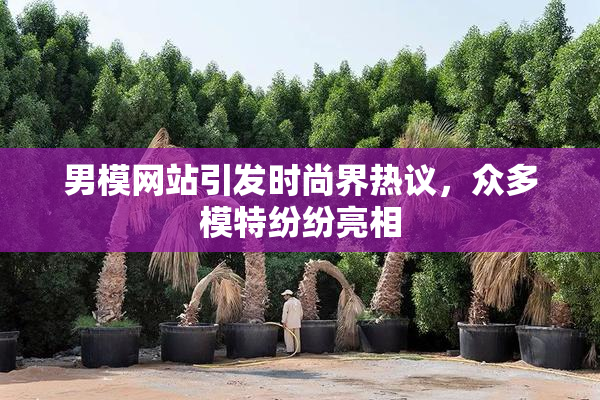 男模网站引发时尚界热议，众多模特纷纷亮相