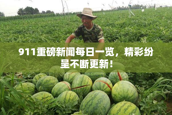 911重磅新闻每日一览，精彩纷呈不断更新！