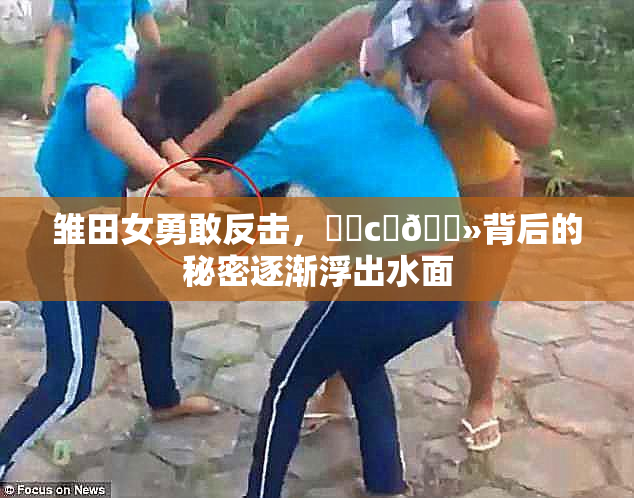 雏田女勇敢反击，❌‌c‌🐻背后的秘密逐渐浮出水面