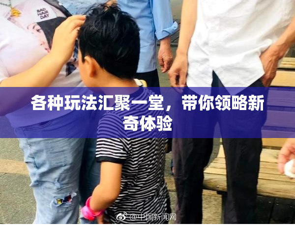 各种玩法汇聚一堂，带你领略新奇体验