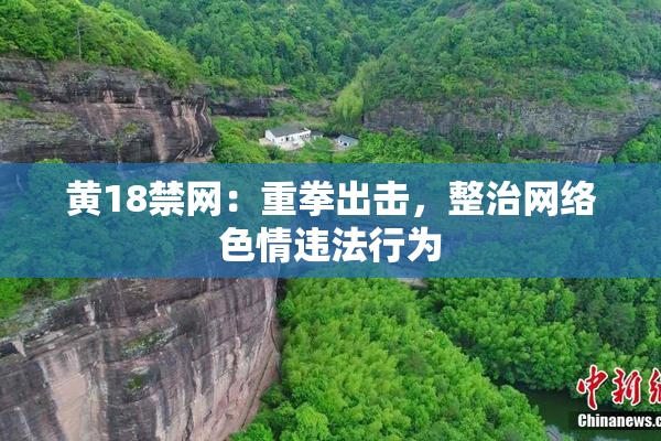 黄18禁网：重拳出击，整治网络色情违法行为