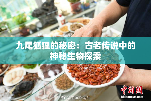 九尾狐狸的秘密：古老传说中的神秘生物探索