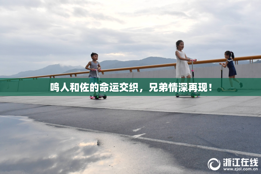 鸣人和佐的命运交织，兄弟情深再现！