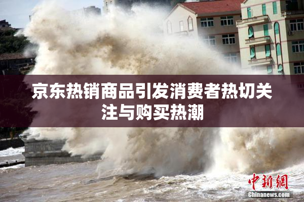 京东热销商品引发消费者热切关注与购买热潮