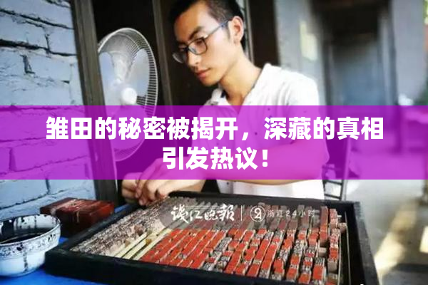 雏田的秘密被揭开，深藏的真相引发热议！