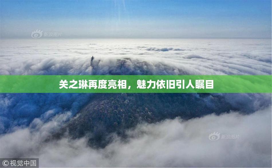 关之琳再度亮相，魅力依旧引人瞩目