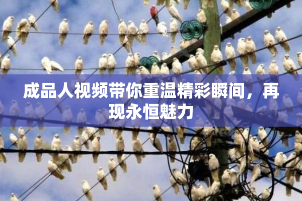 成品人视频带你重温精彩瞬间，再现永恒魅力
