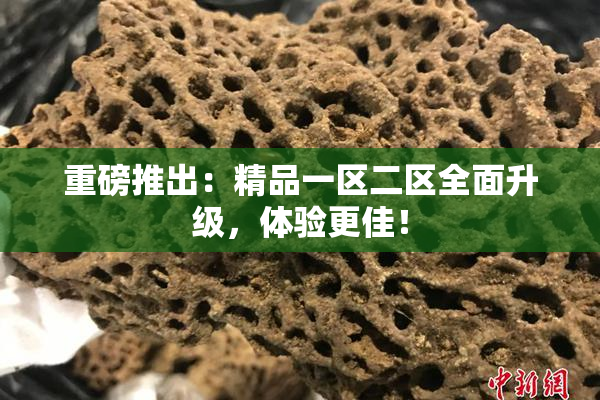 重磅推出：精品一区二区全面升级，体验更佳！