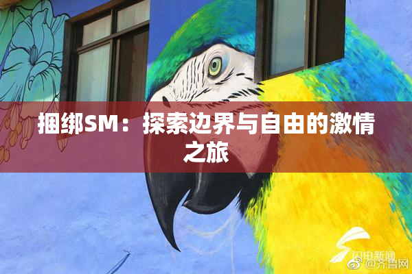 捆绑SM：探索边界与自由的激情之旅