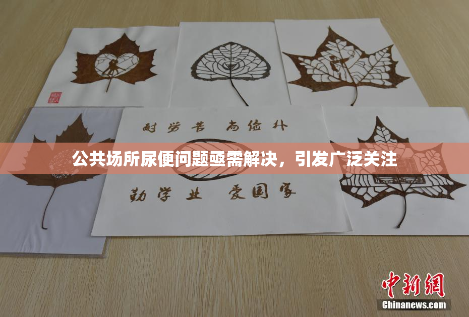 公共场所尿便问题亟需解决，引发广泛关注